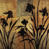 Iris Silhouette II Posters by Erin Lange