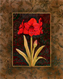Damask Amaryllis Print by Paul Brent