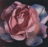 Passion in Rosa I Kunstdrucke von Rumi 