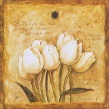 Tulips of my Travels Posters by Herve Libaud