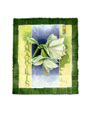 Amaryllis Prints by Franz Heigl