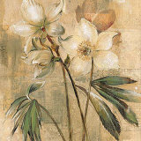 Captive Beauty I Prints by Dennis Carney