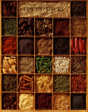 Spices Prints