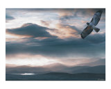 The Flight Photographie par Bill Stephens