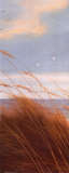 Sailboat Breezeway Panel I Póster por Diane Romanello