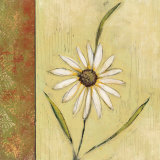 Celadon Beauty I Art by Rebecca Burton
