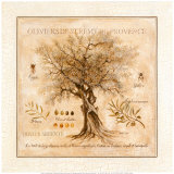 Oliviers de Saint Remy de Provence Kunstdrucke von Pascal Cessou