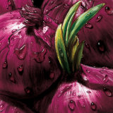 Onions Posters by Alma'ch 