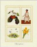 Springtime Prints by Santa 