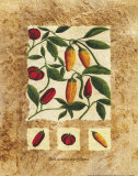 Pepper Array IV Posters