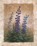 Canterbury Bells Posters by Vivian Flasch Canterbury Bells Posters by Vivian Flasch