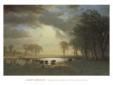 Albert Bierstadt - Buffalo Trail c.1867 Reprodukce Albert Bierstadt - Buffalo Trail c.1867 Reprodukce