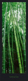 Vertical Zen Kunstdruck von Guillaume Plisson