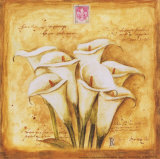 Tulips of my Travels Prints by Herve Libaud