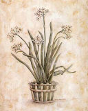 White on White I Art by Kate McRostie White on White I Art by Kate McRostie