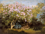 Blossoming Lilac in the Sun, c.1873 Prints by Claude Monet