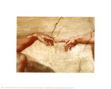 The Creation of Adam, c.1510 (detail) Prints by Michelangelo Buonarroti 