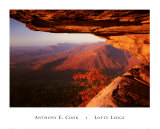 Lofty Ledge Blue Ridge Mountains Poster by Anthony E. Cook