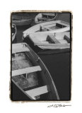 Five at Rest Prints by Laura Denardo