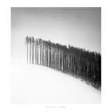 Forest Edge, Hokuto, Hokkaido, Japan, 2004 プリント - マイケル・ケンナ