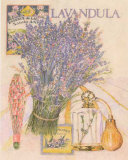 La Belle Provencale II Prints by Laurence David La Belle Provencale II Prints by Laurence David