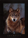 Woodland Pride, Montana Poster by Art Wolfe
