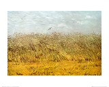 The Wheat Field Prints by Vincent van Gogh