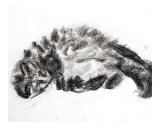 Meisha Giclée-tryk af Jenphotoart Meisha Giclée-tryk af Jenphotoart