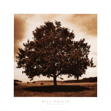 Meadow Land III Prints by Bill Philip