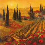 Art Fronckowiak - Poppies of Toscano I Obrazy