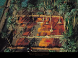 Sechage de Dattes Posters by Yann Arthus-Bertrand