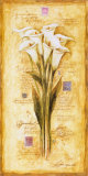 Callas of my Travels Art by Herve Libaud