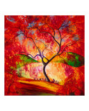 Etai de feu sur un érable à l'automne reproduction procédé giclée par Timothy Sorsdahl