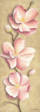 Fleurs de pommier Poster par Caroline Wenig