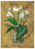Flores Blancas II Prints by A. Vega