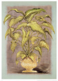 Jarrones Plantas I Poster by L. Romero