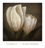 Floreo I Poster by Wade Hoefer
