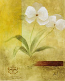 Butterfly Orchid Duo Pósters por Fernando Leal Butterfly Orchid Duo Pósters por Fernando Leal