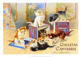 Calletas Cantabria Print