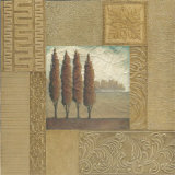 Stately Cypress Prints by Xavier 