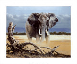 The Sentinel Prints by Spencer Hodge