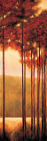 Through the Woods II Affiche par Neil Thomas