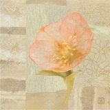 Hellebore III Art by Philippe Paput