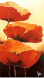 Three Red Poppies I Prints by Jettie Rosenboom