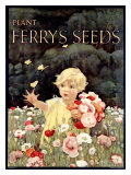Ferry's Seeds Giclee Print