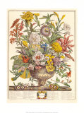 September Posters by Robert Furber