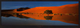 Namib Desert Plakat av Philippe Bourseiller Namib Desert Plakat av Philippe Bourseiller
