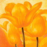 Golden Tulip Posters av Susanne Bach