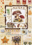 Champignons Posters par G.p. Mepas