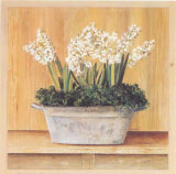 Les Fleurs Blanches, Jacinthes Prints by Laurence David